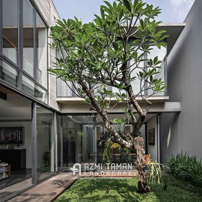 Tukang Taman BSD