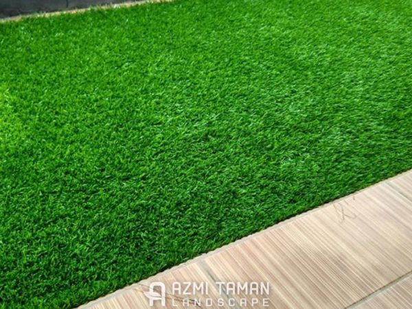Jual Rumput Taman