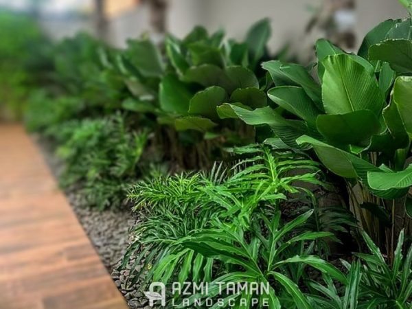taman-tropis-2